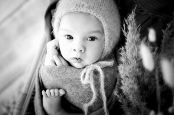 029_Photopression